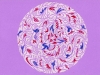 2008-mandala-8  (21x29)
